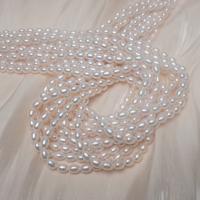 Rice Cultured Freshwater Pearl Beads, DIY white Approx 35 cm 