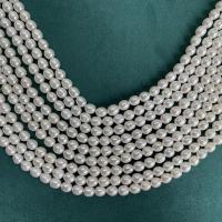 Rice Cultured Freshwater Pearl Beads, DIY white, 6-7mm Approx 37 cm 
