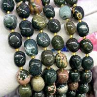 Natural Ocean Agate Beads, Nuggets, DIY, mixed colors Approx 39 cm [