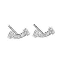 Cubic Zirconia Micro Pave Brass Earring, plated, micro pave cubic zirconia & for woman, silver color 
