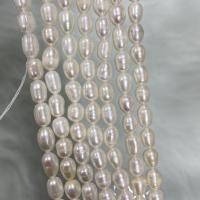 Perles d'eau douce de culture de riz, perle d'eau douce cultivée, DIY, blanc, 5-6mm Environ 37 cm, Vendu par brin