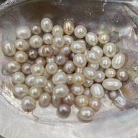 Perles d'eau douce de culture de riz, perle d'eau douce cultivée, DIY, plus de couleurs à choisir, 9-10mm, Vendu par PC