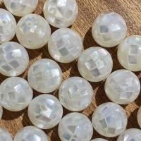 Dyed Shell Beads, Round, DIY [