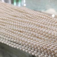 Perles de nacre en verre, perle de verre, riz, DIY, blanc Environ 15 pouce, Vendu par brin