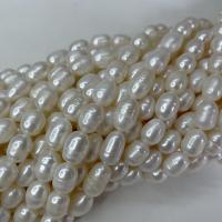 Perles d'eau douce de culture de riz, perle d'eau douce cultivée, DIY & styles différents pour le choix, blanc, 9-10mm Environ 37 cm, Vendu par brin