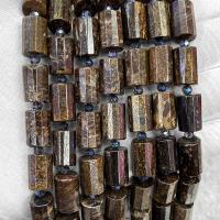 Bronzite Stone Beads, Column, DIY & faceted, mixed colors Approx 38 cm 