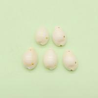 Natural Seashell Pendant, Shell, Conch, DIY, white, 12x18- 