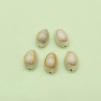 Natural Seashell Pendant, Shell, Conch, DIY, white 