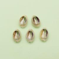 Natural Seashell Pendant, Shell, Conch, DIY, mixed colors 