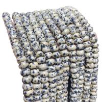 Perles dalmatiens, Dalmate, abaque, poli, DIY, 8x4-5mm, Environ Vendu par brin