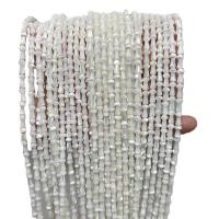 Turbanschnecken Perlen, Pilz, poliert, DIY, weiß, 4x7mm, ca. 48PCs/Strang, verkauft von Strang