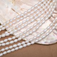 Perles d'eau douce de culture de riz, perle d'eau douce cultivée, DIY, blanc, 5-6mm Environ 36-38 cm, Vendu par brin
