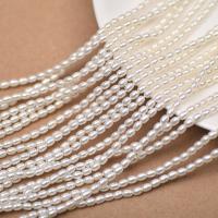 Perles de nacre en verre, perle de verre, riz, DIY & normes différentes pour le choix, blanc Environ 40 cm, Vendu par brin