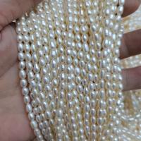 Perles d'eau douce de culture de riz, perle d'eau douce cultivée, DIY, blanc, 3.5-4mm Environ 36 cm, Vendu par brin