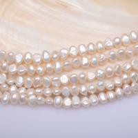 Baroque Cultured Freshwater Pearl Beads, DIY white Approx 40 cm 