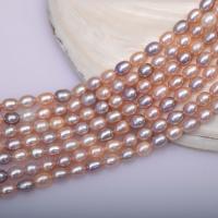 Perles d'eau douce de culture de riz, perle d'eau douce cultivée, DIY, multicolore, 5-6mm Environ 39-40 cm, Vendu par brin