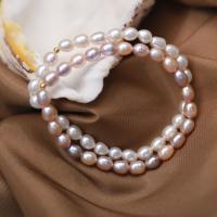 Pulseras de la perla, Perlas cultivadas de agua dulce, Arroz, Joyería & para mujer, más colores para la opción, 5-6mm, longitud:aproximado 18 cm, Vendido por UD