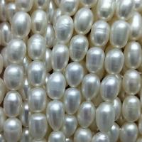 Perlas Arroz Freshwater, Perlas cultivadas de agua dulce, Natural & Bricolaje, Blanco, 6-7mm, longitud:36-38 cm, Vendido por Sarta