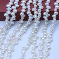 Perles d'eau douce de culture de riz, perle d'eau douce cultivée, DIY & haut percé, blanc, 4-5mm Environ 36-38 cm, Vendu par brin