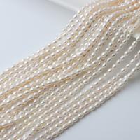 Perlas cultivadas de agua dulce Abalorio, Arroz, Bricolaje, Blanco, 3-3.5mm, longitud:aproximado 36-39 cm, Vendido por Sarta