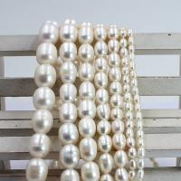 Perles d'eau douce de culture de riz, perle d'eau douce cultivée, DIY & normes différentes pour le choix, blanc Environ 38 cm, Vendu par brin