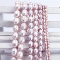 Rice Cultured Freshwater Pearl Beads, DIY purple Approx 38 cm 