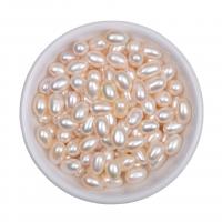 Rice Cultured Freshwater Pearl Beads, DIY, white 