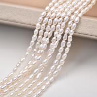 Rice Cultured Freshwater Pearl Beads, DIY white Approx 37 cm 