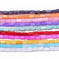 Trochus perles, Haut Coque, pilier, poli, DIY, plus de couleurs à choisir Environ Vendu par brin