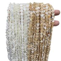 Turbanschnecken Perlen, Stern, poliert, DIY & verschiedene Größen vorhanden, keine, verkauft von Strang