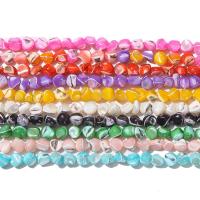 Trochus perles, Haut Coque, Irrégulière, poli, DIY, plus de couleurs à choisir, 8-10mm, 75- Vendu par brin