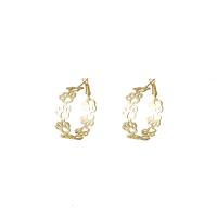 Iron Hoop Earring, plated & for woman & hollow, 29-68mm 