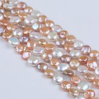 Coin Cultured Freshwater Pearl Beads, DIY, mixed colors, 11-12mm Approx 20 cm 