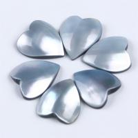 Seashell Cabochon, Natural Seashell, Heart, DIY, silver color 