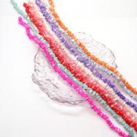 Dyed Shell Beads, DIY mm Approx 38 cm 