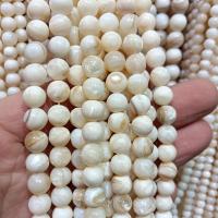 Turbanschnecken Perlen, Trochus Shell, rund, DIY & verschiedene Größen vorhanden, weiß, verkauft von Strang
