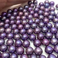 No Hole Cultured Freshwater Pearl Beads, Slightly Round, DIY, purple, 13-14mm 