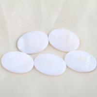 Cabochon de coquille blanche, ovale, DIY, blanc Vendu par PC[