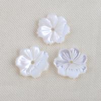 Trochus perles, Haut Coque, fleur, DIY, blanc Environ 0.6mm, Vendu par PC