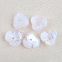 Trochus Beads, Flower, DIY, white 