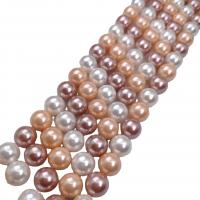 Shell Pearl, Round, polished, DIY mixed colors Approx 38 cm [