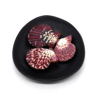 Natural Seashell Pendant, Shell, Fan, DIY, deep red 
