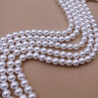 South Sea Shell Beads, Shell Pearl, Round, DIY white Approx 38 cm 