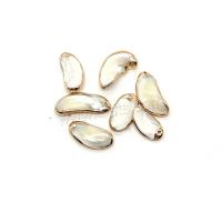 Natural Seashell Pendant, with Brass, Bean, gold color plated, DIY, white, Length about 10-13mm,Hight about 19-29mm 