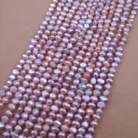 Perlas Keishi Cultivadas de Agua Dulce, Perlas cultivadas de agua dulce, Bricolaje, Púrpura, Length about 4-5mm, longitud:aproximado 38 cm, Vendido por Sarta