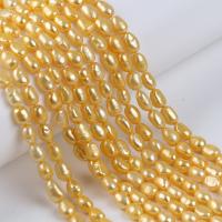 Perlas Keishi Cultivadas de Agua Dulce, Perlas cultivadas de agua dulce, Bricolaje, dorado, 7-8mm, longitud:aproximado 36 cm, Vendido por Sarta