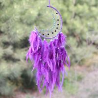 Fashion Dream Catcher, Feather, with Cotton Thread & Plastic & Iron, Moon, for home and office & hollow, purple 