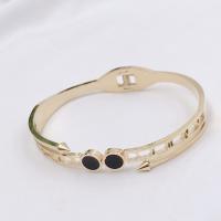 Titane bracelet en acier et bracelet, Acier titane, bijoux de mode, plus de couleurs à choisir, Bracelet mm, Vendu par PC