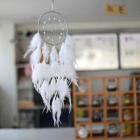 Fashion Dream Catcher, Feather, with Cotton Thread & Iron & Acrylic, for home and office & hollow, white 