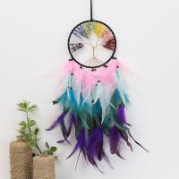 Fashion Dream Catcher, Feather, with Cotton Thread & Gemstone Chips & Wood & Iron, for home and office & hollow, mixed colors 